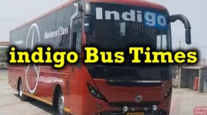 indigo Bus Times
