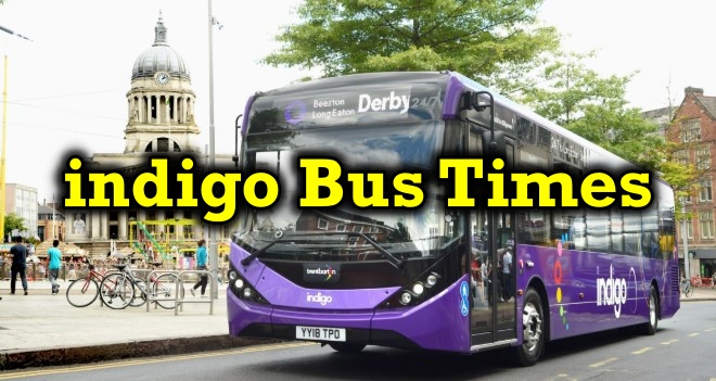 indigo Bus Times