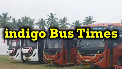 indigo Bus Times