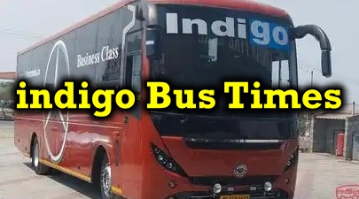 indigo Bus Times